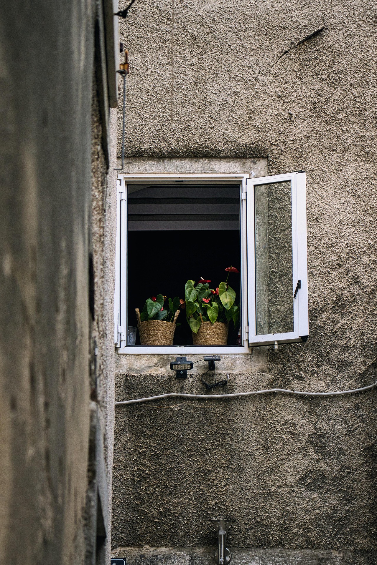 hasogr-window-7454482_1920